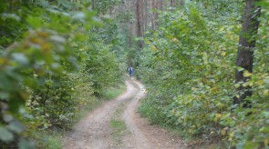 DSC_0263.JPG