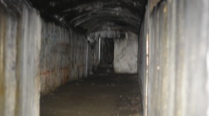 DSC_0312_1.JPG