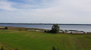 20190907_111428.jpg