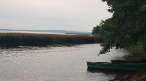 20190908_105726.jpg