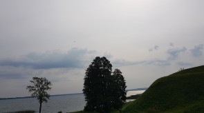 20190908_112506.jpg