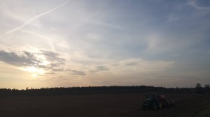 IMG_20200926_180247.jpg