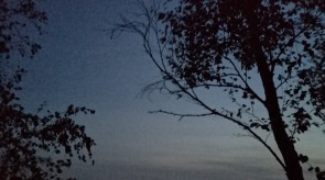 IMG_20200926_201103.jpg