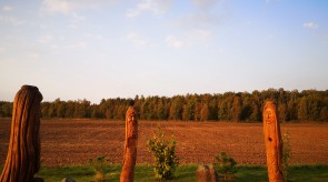 IMG_20200927_084656.jpg
