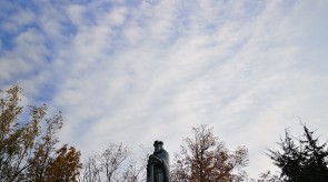 IMG_20200927_093737.jpg