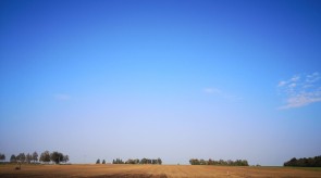 IMG_20200927_111250.jpg