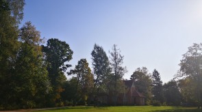 IMG_20200927_113812.jpg
