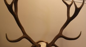 IMG_20200927_115733.jpg