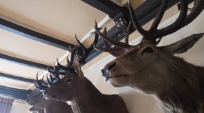 IMG_20200927_115830.jpg
