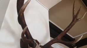 IMG_20200927_120541.jpg