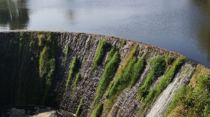 IMG_20200927_131328.jpg