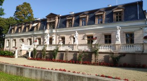 IMG_20200927_114418.jpg