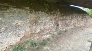 image00011_1.jpeg
