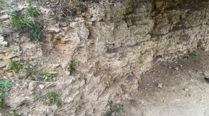 image00012_1.jpeg