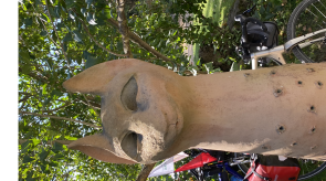 image00016_1.jpeg