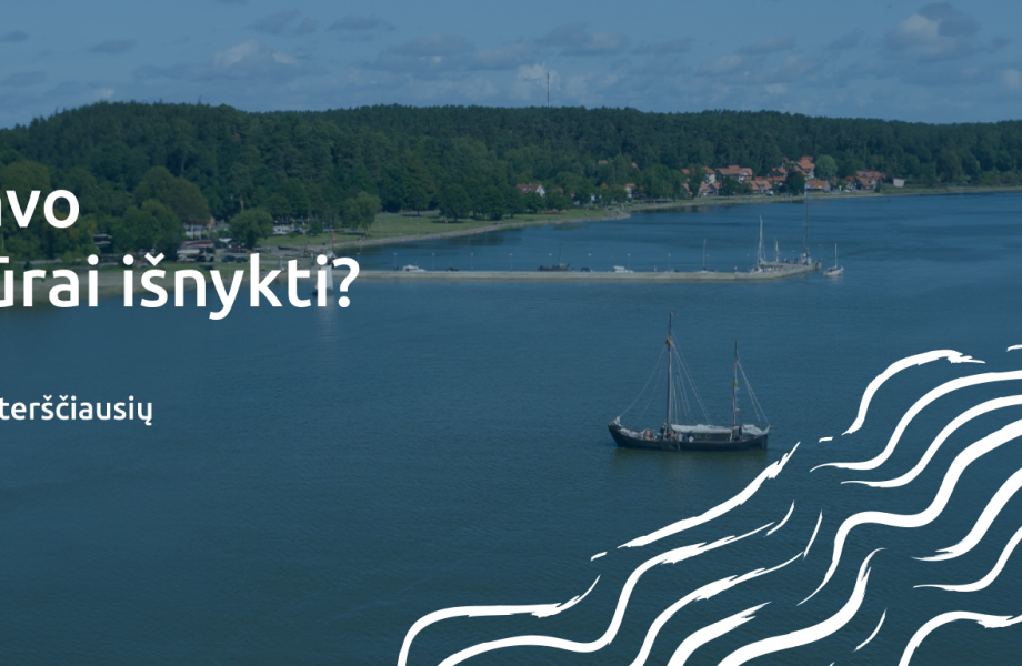 LET'S SAVE THE BALTIC SEA
