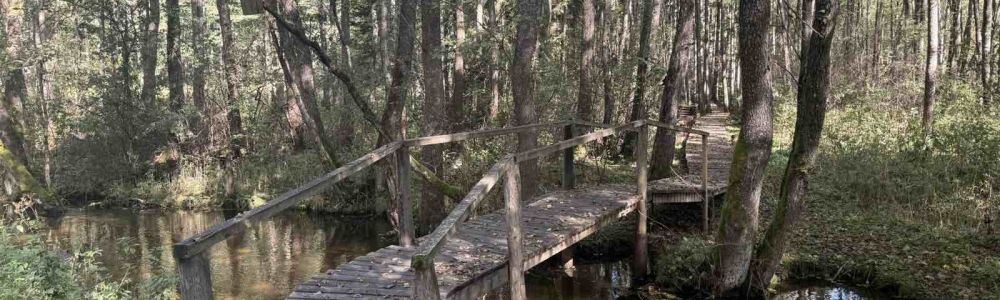 Dieveniškių krašto takais